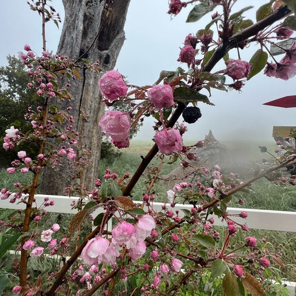 Meet your Posher, Kimberly - Picture 11 of 16